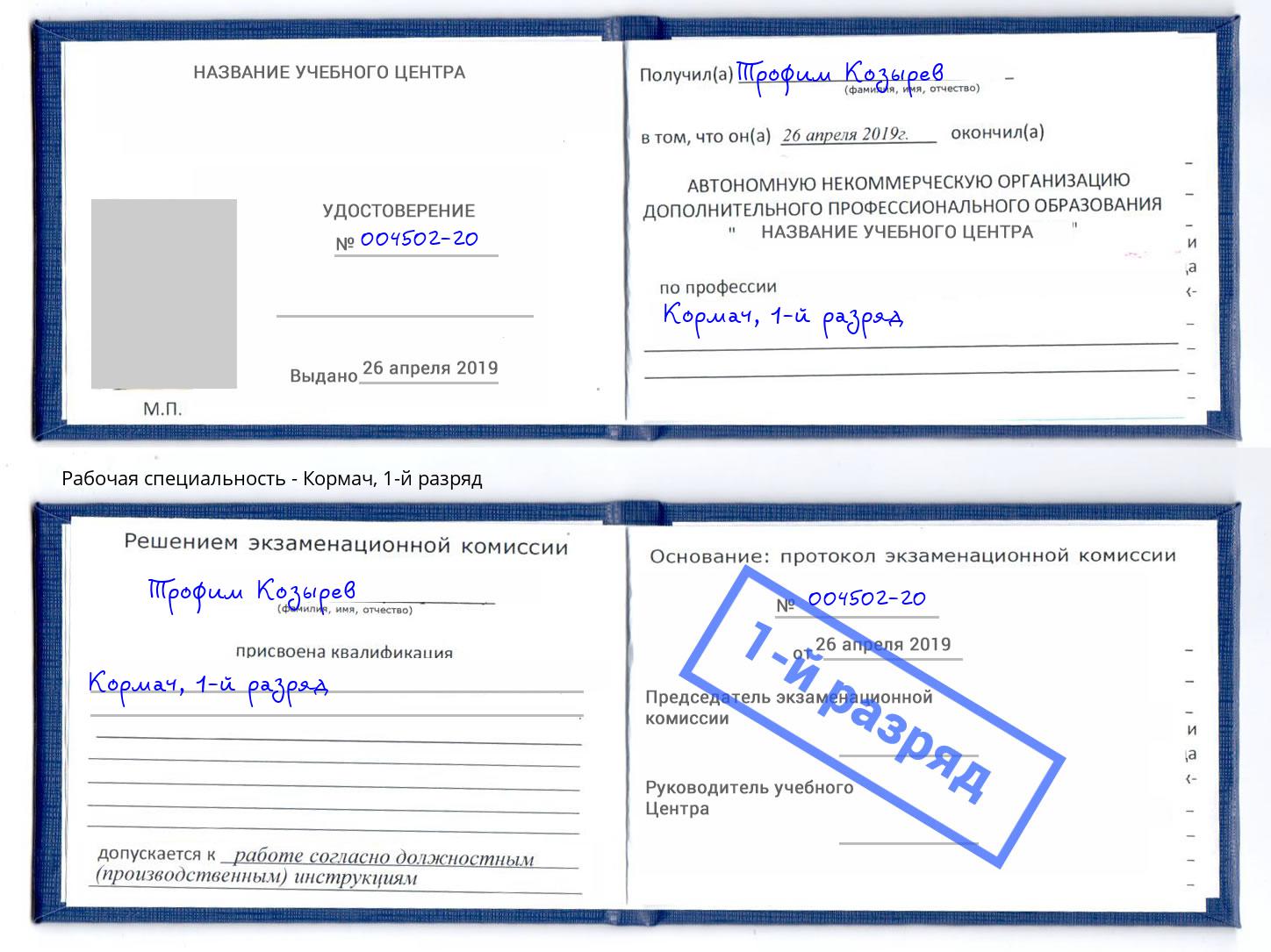 корочка 1-й разряд Кормач Курганинск