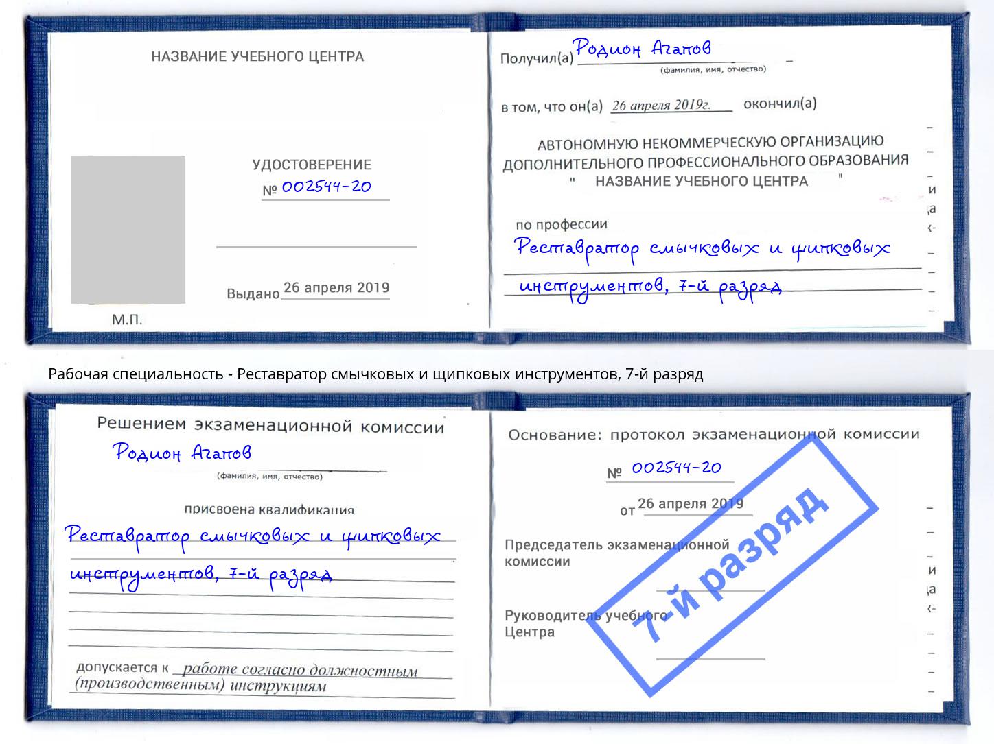 корочка 7-й разряд Реставратор смычковых и щипковых инструментов Курганинск